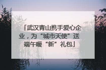 武汉青山携手爱心企业，为“城市天使”送端午暖“新”礼包