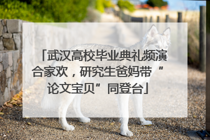 武汉高校毕业典礼频演合家欢，研究生爸妈带“论文宝贝”同登台