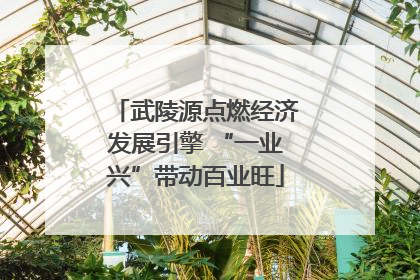 武陵源点燃经济发展引擎 “一业兴”带动百业旺