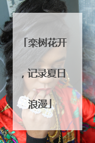 栾树花开，记录夏日浪漫