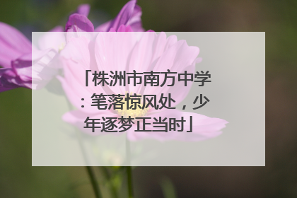 株洲市南方中学：笔落惊风处，少年逐梦正当时