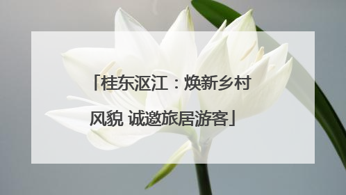 桂东沤江：焕新乡村风貌 诚邀旅居游客