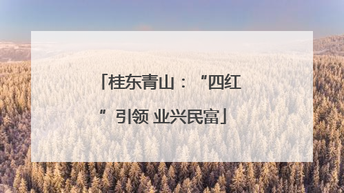 桂东青山：“四红”引领 业兴民富