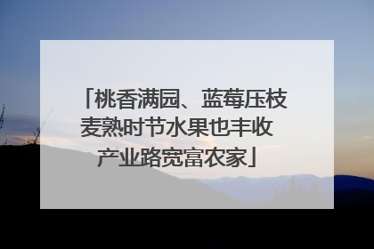 桃香满园、蓝莓压枝 麦熟时节水果也丰收 产业路宽富农家