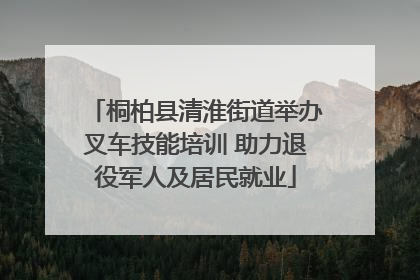 桐柏县清淮街道举办叉车技能培训 助力退役军人及居民就业