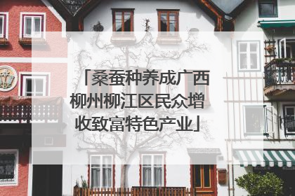 桑蚕种养成广西柳州柳江区民众增收致富特色产业