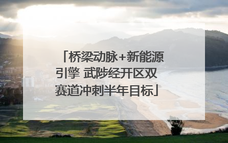 桥梁动脉+新能源引擎 武陟经开区双赛道冲刺半年目标