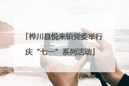 桦川县悦来镇党委举行庆“七一”系列活动