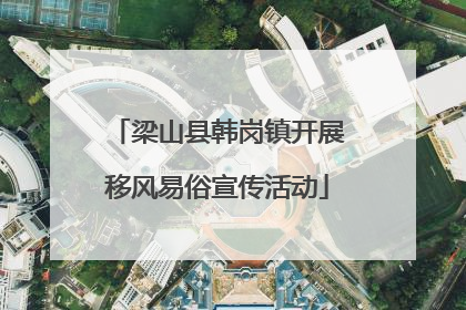 梁山县韩岗镇开展移风易俗宣传活动