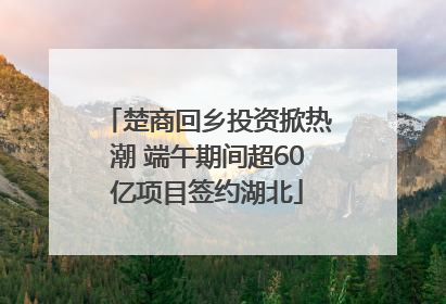 楚商回乡投资掀热潮 端午期间超60亿项目签约湖北