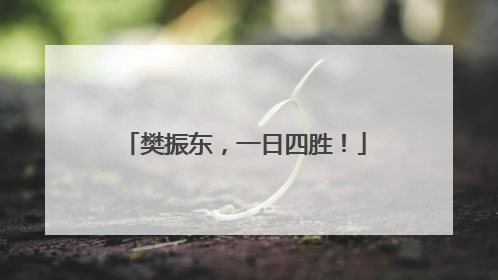 樊振东，一日四胜！
