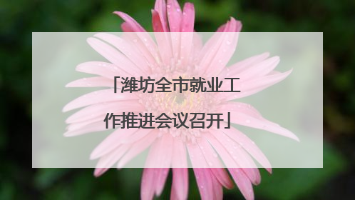 潍坊全市就业工作推进会议召开