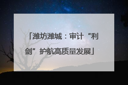 潍坊潍城：审计“利剑”护航高质量发展