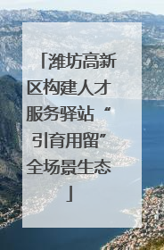 潍坊高新区构建人才服务驿站“引育用留”全场景生态