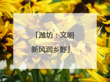 潍坊：文明新风润乡野