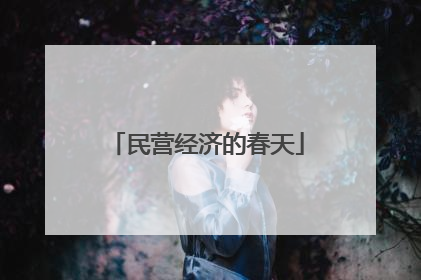 民营经济的春天