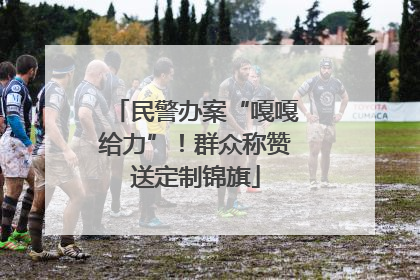 民警办案“嘎嘎给力”！群众称赞送定制锦旗