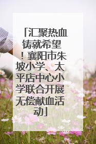 汇聚热血 铸就希望！襄阳市朱坡小学、太平店中心小学联合开展无偿献血活动