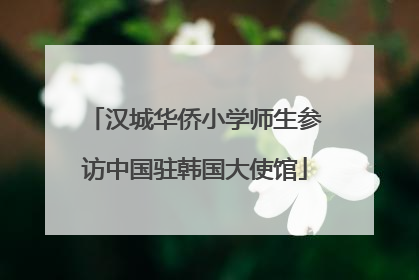 汉城华侨小学师生参访中国驻韩国大使馆