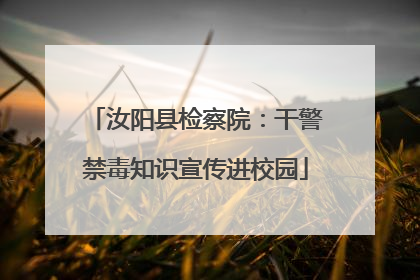 汝阳县检察院：干警禁毒知识宣传进校园