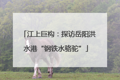 江上巨构：探访岳阳洪水港“钢铁水骆驼”