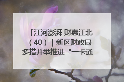 江河澎湃 财惠江北（40）｜新区财政局多措并举推进“一卡通”管理 保障惠民惠农补贴精准高效发放