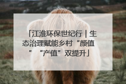 江淮环保世纪行｜生态治理赋能乡村“颜值”“产值”双提升