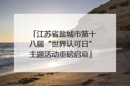 江苏省盐城市第十八届“世界认可日”主题活动重磅启幕