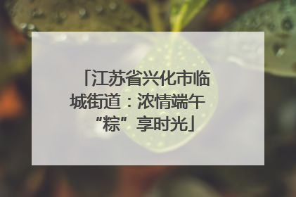 江苏省兴化市临城街道：浓情端午 “粽”享时光
