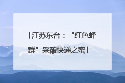 江苏东台：“红色蜂群”采酿快递之蜜