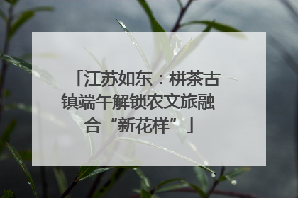 江苏如东：栟茶古镇端午解锁农文旅融合“新花样”
