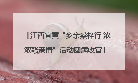 江西宜黄“乡亲桑梓行 浓浓赣港情”活动圆满收官