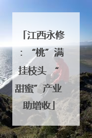 江西永修：“桃”满挂枝头 “甜蜜”产业助增收