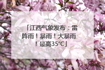 江西气象发布：雷阵雨！暴雨！大暴雨！最高35℃