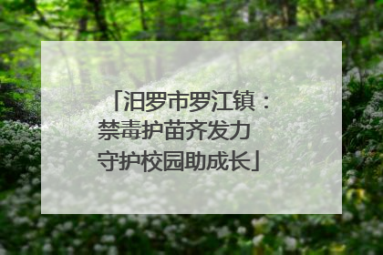 汨罗市罗江镇：禁毒护苗齐发力 守护校园助成长