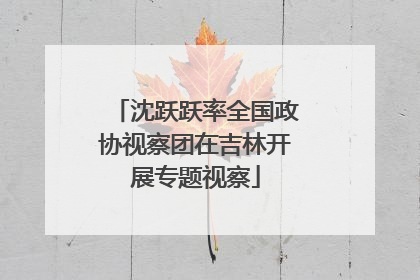 沈跃跃率全国政协视察团在吉林开展专题视察
