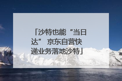沙特也能“当日达” 京东自营快递业务落地沙特