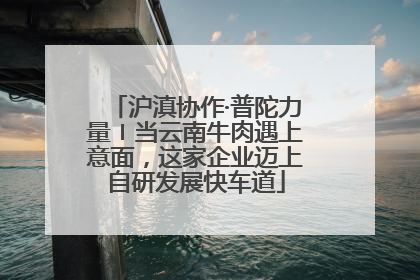 沪滇协作·普陀力量〡当云南牛肉遇上意面，这家企业迈上自研发展快车道