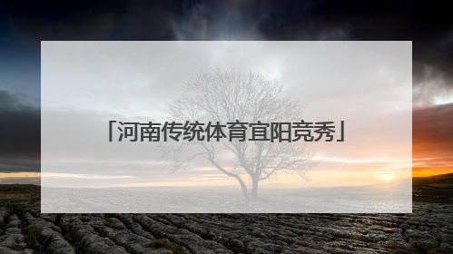 河南传统体育宜阳竞秀