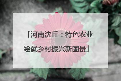 河南沈丘：特色农业绘就乡村振兴新图景