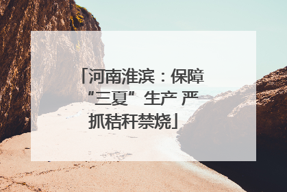 河南淮滨：保障“三夏”生产 严抓秸秆禁烧