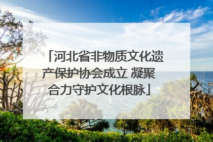 河北省非物质文化遗产保护协会成立 凝聚合力守护文化根脉