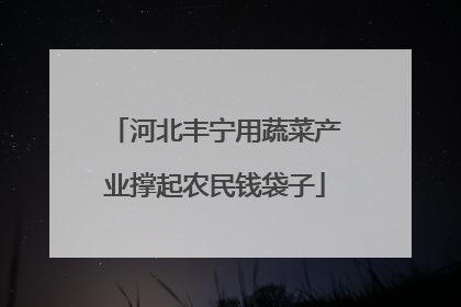 河北丰宁用蔬菜产业撑起农民钱袋子
