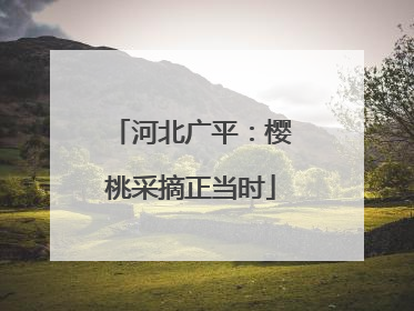 河北广平：樱桃采摘正当时