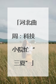河北曲周：科技小院忙“三夏”