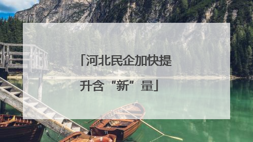 河北民企加快提升含“新”量