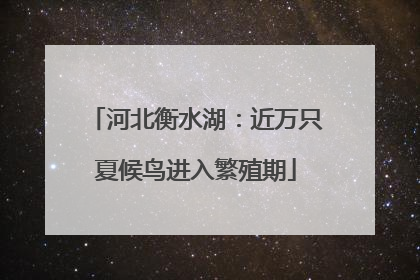 河北衡水湖:近万只夏候鸟进入繁殖期