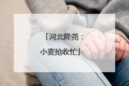河北隆尧：小麦抢收忙