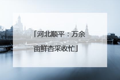 河北顺平：万余亩鲜杏采收忙