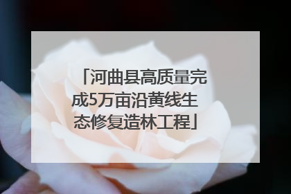 河曲县高质量完成5万亩沿黄线生态修复造林工程